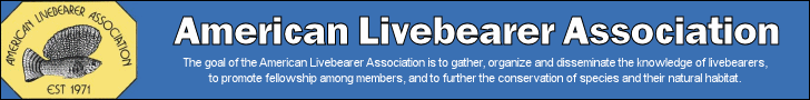 American Livebearers Association