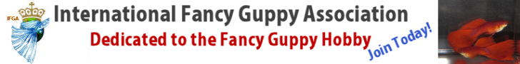 International Fancy Guppy Association