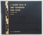 books&1751815804 Thumbnail