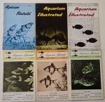 books&1751973908 Thumbnail