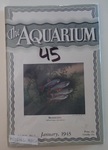 books&1751993402 Thumbnail