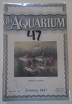 books&1751993403 Thumbnail