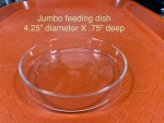 Thumbnail for breeding1752984602