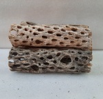 Thumbnail for driftwood1696942802