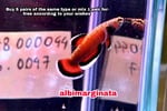 Thumbnail for fwbettas1751383202