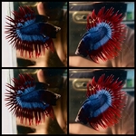 Thumbnail for fwbettasct1751995802