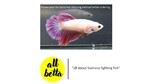 Thumbnail for fwbettashm1752395348