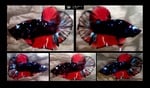Thumbnail for fwbettashmp1751455356