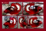 Thumbnail for fwbettashmp1751715602