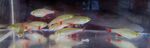 Thumbnail for fwcharacins1751747402