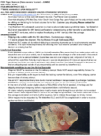 Thumbnail for fwcichlids1716249003