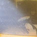 Thumbnail for fwkillifish1753052539