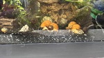fwsnails&1752095857 Thumbnail
