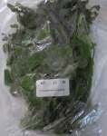 Thumbnail for liveplantsb1753129804