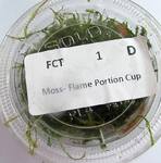 Thumbnail for liveplantsm1751490008