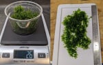 Thumbnail for liveplantsm1752669029