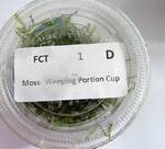 Thumbnail for liveplantsm1752702005