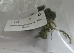 Thumbnail for liveplantsr1751493606