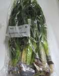 Thumbnail for liveplantsr1752011402