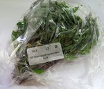 liveplantsr&1752095408 Thumbnail