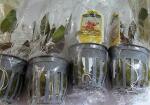 liveplantsr&1752239403 Thumbnail