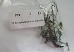 Thumbnail for liveplantsr1752704404